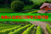 海角认证新纪元探索无限可能
